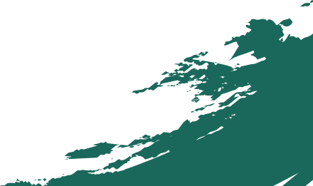 footer bg shape2 2 2